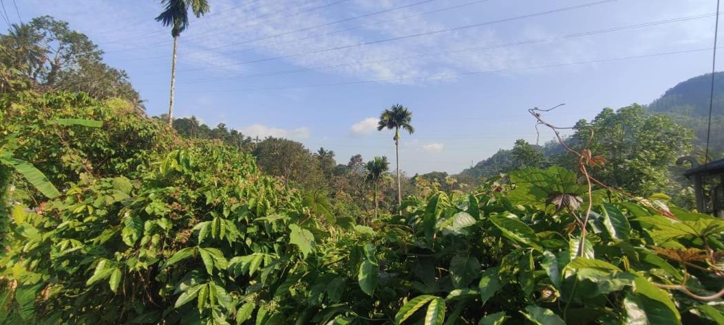 Riya Home Stay Munnar Anaviratty 외부 사진